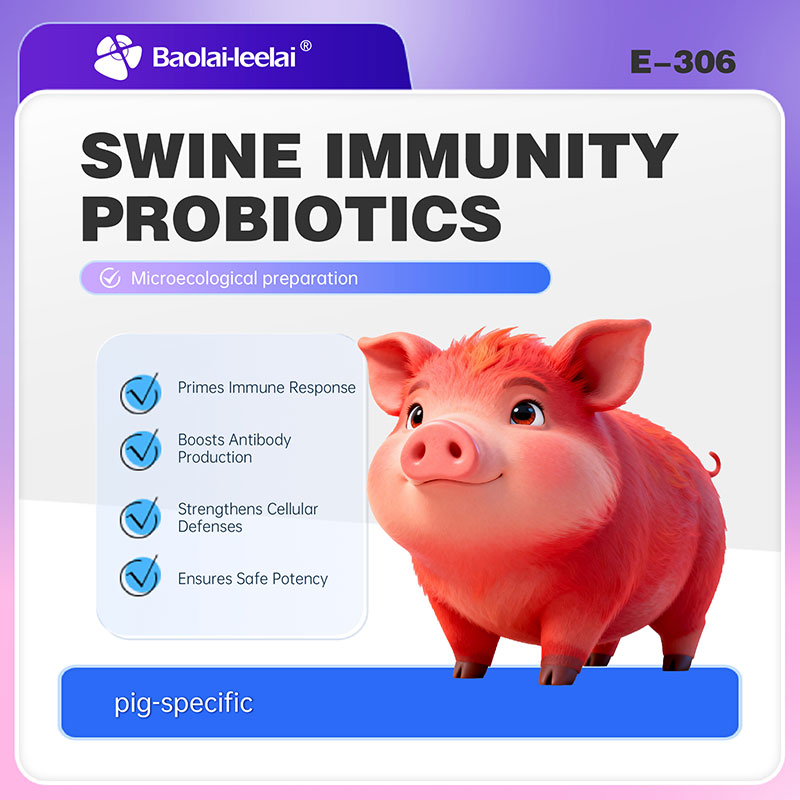 E-306-Swine Immunity Probiotics