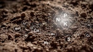 Biological Nitrogen Fixation