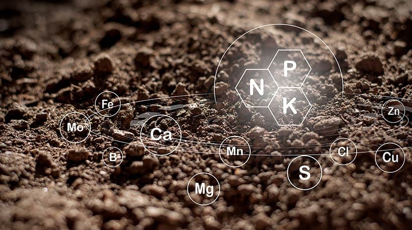 Biological Nitrogen Fixation