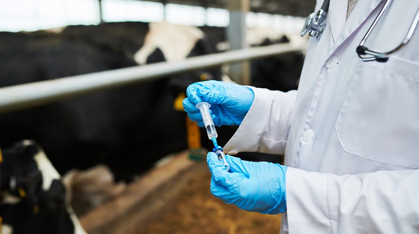 Animal Probiotics Manufacturer