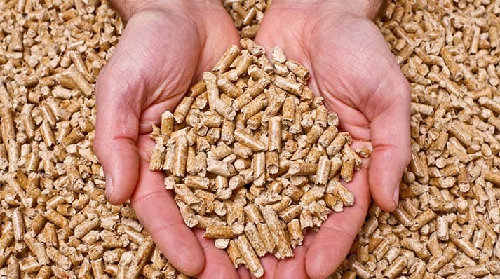 Feed Micro Ecological Solution​s